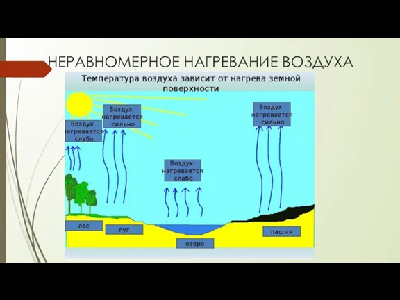 НЕРАВНОМЕРНОЕ НАГРЕВАНИЕ ВОЗДУХА Одна из причин возникновения ветра