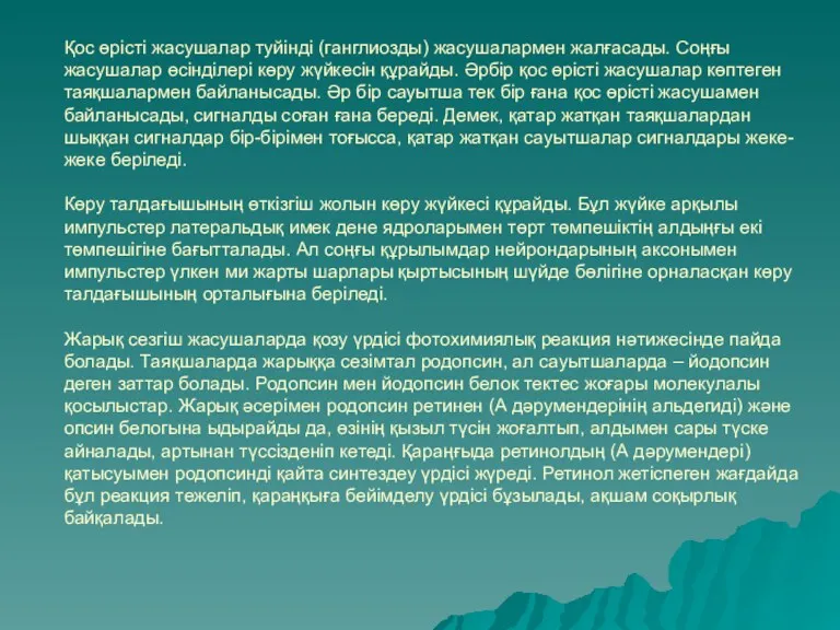 Қос өрісті жасушалар туйінді (ганглиозды) жасушалармен жалғасады. Соңғы жасушалар өсінділері