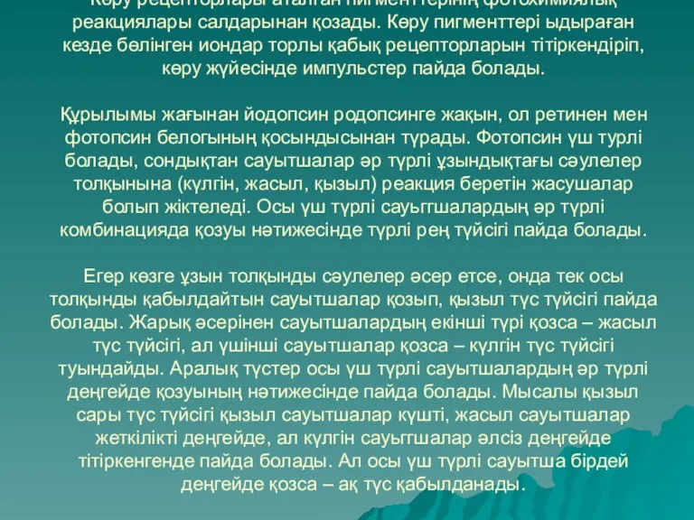 Көру рецепторлары аталған пигменттерінің фотохимиялық реакциялары салдарынан қозады. Көру пигменттері