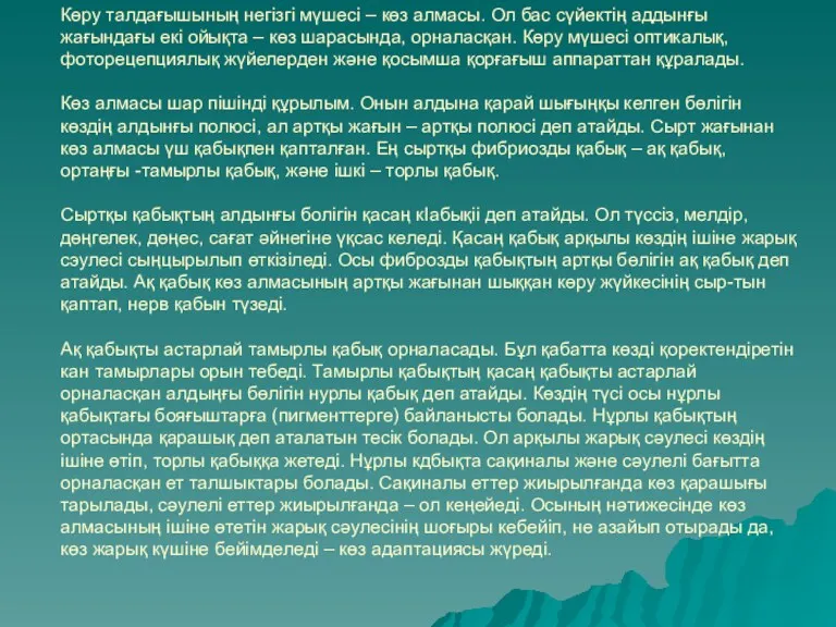 Көру талдағышының негізгі мүшесі – көз алмасы. Ол бас сүйектің