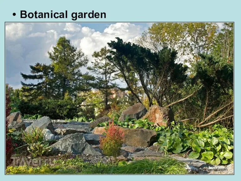 Botanical garden