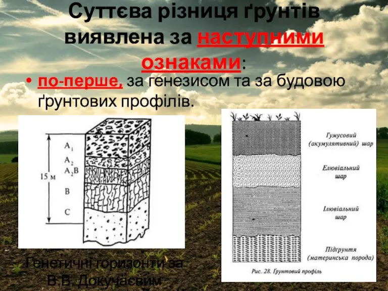 Суттєва різниця ґрунтів виявлена за наступними ознаками: по-перше, за генезисом