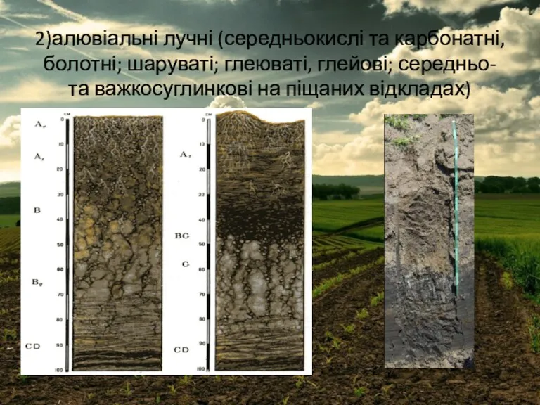 2)алювіальні лучні (середньокислі та карбонатні, болотні; шаруваті; глеюваті, глейові; середньо- та важкосуглинкові на піщаних відкладах)