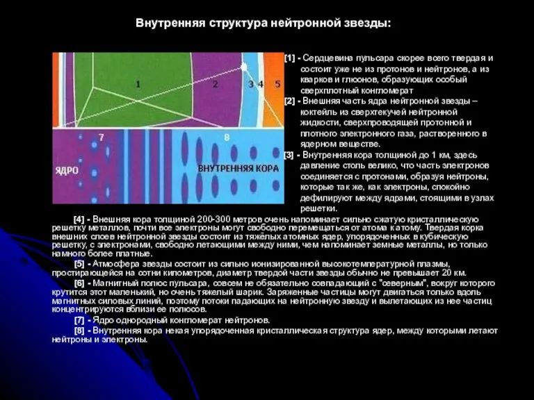 Внутренняя структура нейтронной звезды: [1] - Сердцевина пульсара скорее всего