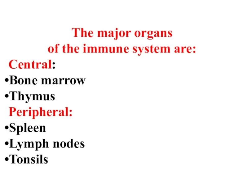 The major organs of the immune system are: Central: Bone
