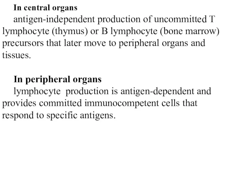 In central organs antigen-independent production of uncommitted T lymphocyte (thymus)