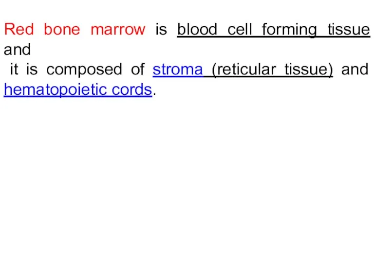 Red bone marrow is blood cell forming tissue and it