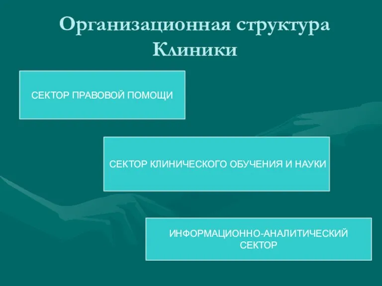 Организационная структура Клиники СЕКТОР ПРАВОВОЙ ПОМОЩИ СЕКТОР КЛИНИЧЕСКОГО ОБУЧЕНИЯ И НАУКИ ИНФОРМАЦИОННО-АНАЛИТИЧЕСКИЙ СЕКТОР