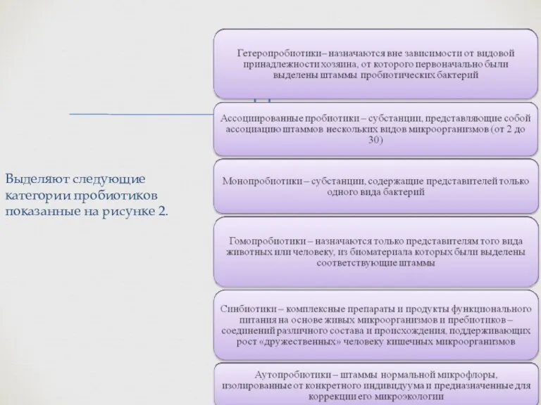 Выделяют следующие категории пробиотиков показанные на рисунке 2.