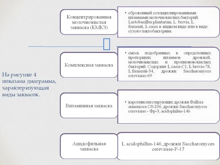 На рисунке 4 показана диаграмма, характеризующая виды заквасок.