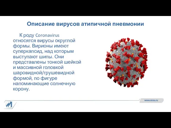 Описание вирусов атипичной пневмонии К роду Coronavirus относятся вирусы округлой формы. Вирионы имеют