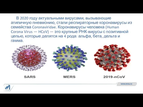 В 2020 году актуальными вирусами, вызывающие атипичную пневмонию, стали респираторные