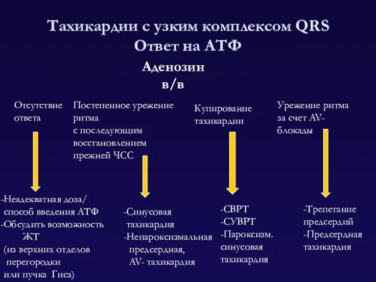 Тахикардии с узким комплексом QRS Ответ на АТФ Аденозин в/в