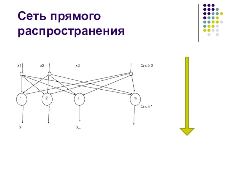 Сеть прямого распространения 1 2 i m x1 x2 x3 y1 ym Слой 0 Слой 1