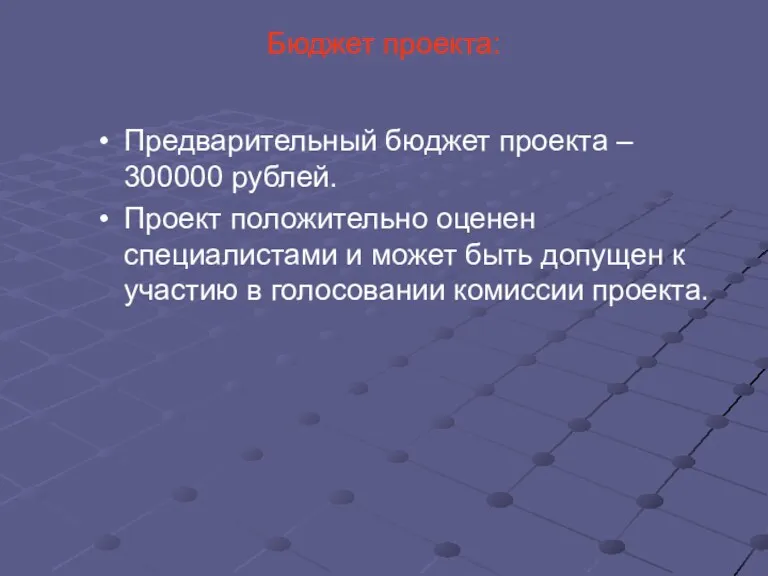 Бюджет проекта: Предварительный бюджет проекта – 300000 рублей. Проект положительно