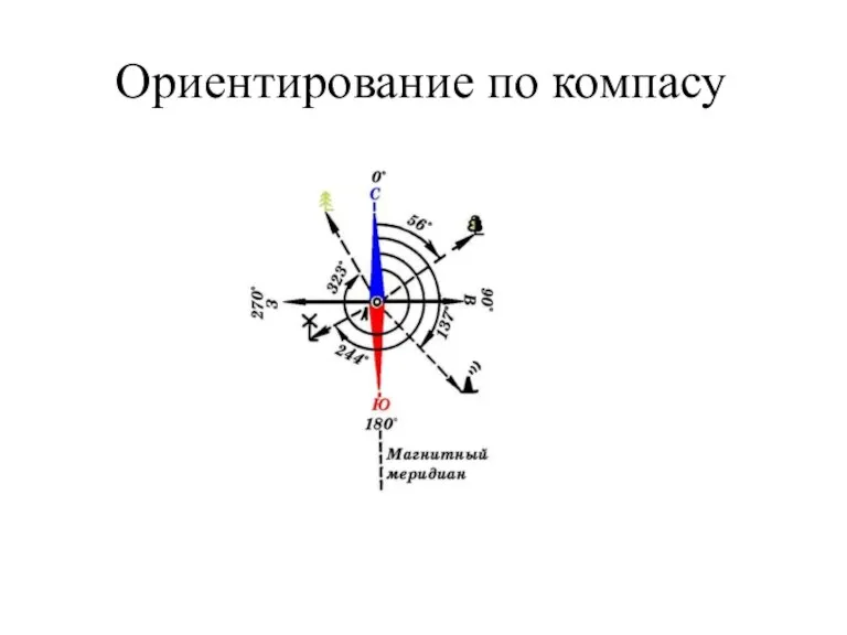 Ориентирование по компасу