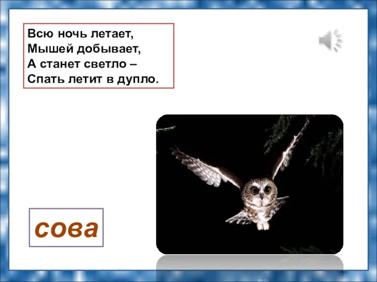 Всю ночь летает, Мышей добывает, А станет светло – Спать летит в дупло. сова