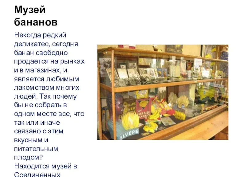Музей бананов Некогда редкий деликатес, сегодня банан свободно продается на рынках и в