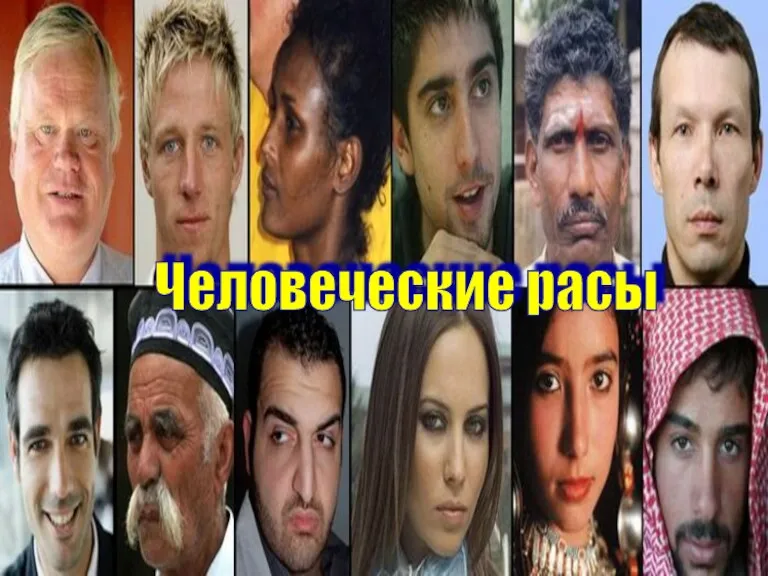 Человеческие расы