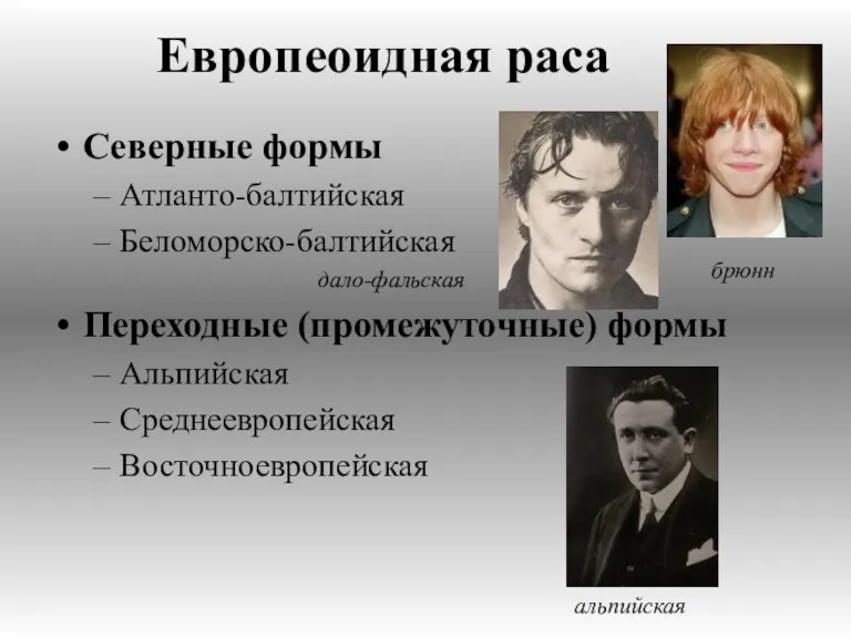 Европеоидная раса Северные формы Атланто-балтийская Беломорско-балтийская дало-фальская Переходные (промежуточные) формы Альпийская Среднеевропейская Восточноевропейская брюнн альпийская