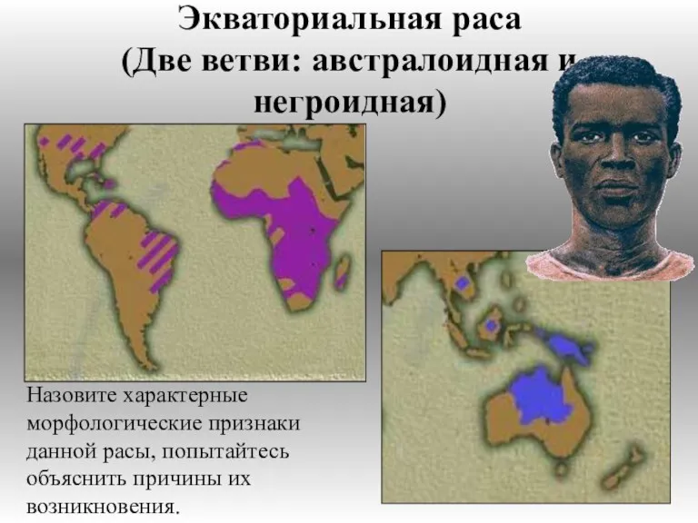 Экваториальная раса (Две ветви: австралоидная и негроидная) Назовите характерные морфологические признаки данной расы,