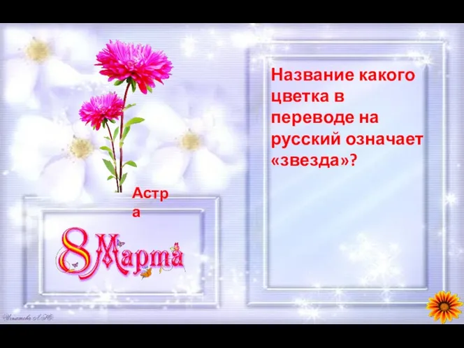 Название какого цветка в переводе на русский означает «звезда»?