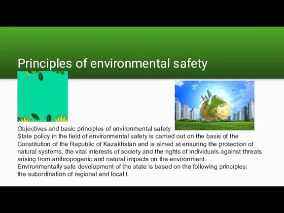 Objectives and basic principles of environmental safety State policy in