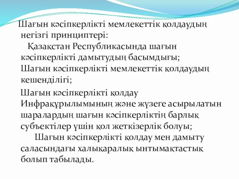 Шағын кәсiпкерлiктi мемлекеттiк қолдаудың негiзгi принциптерi: Қазақстан Республикасында шағын кәсiпкерлiктi