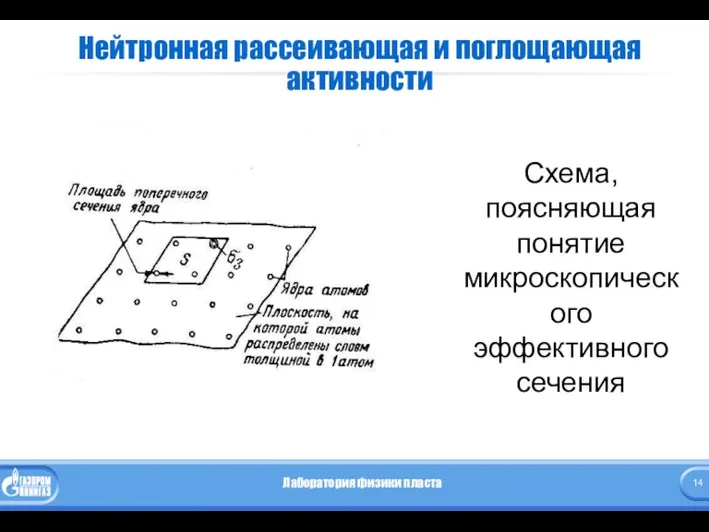 Нейтронная рассеивающая и поглощающая активности Схема, поясняющая понятие микроскопического эффективного сечения