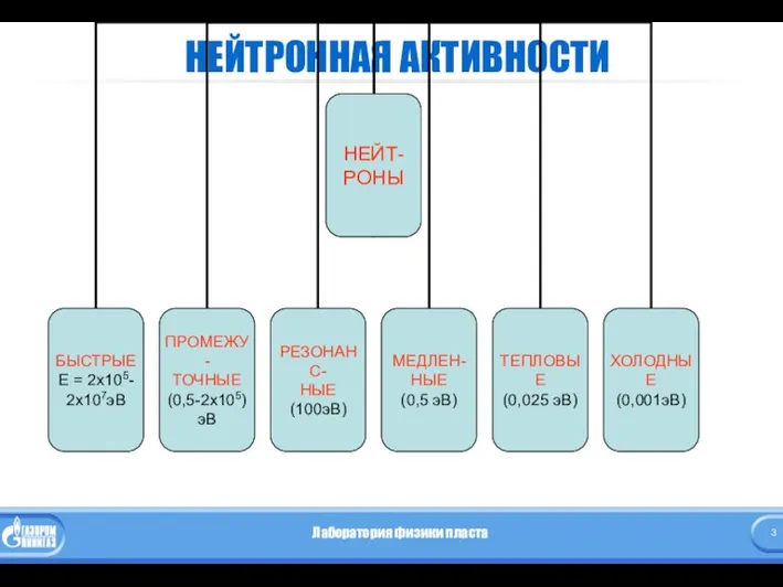 НЕЙТРОННАЯ АКТИВНОСТИ