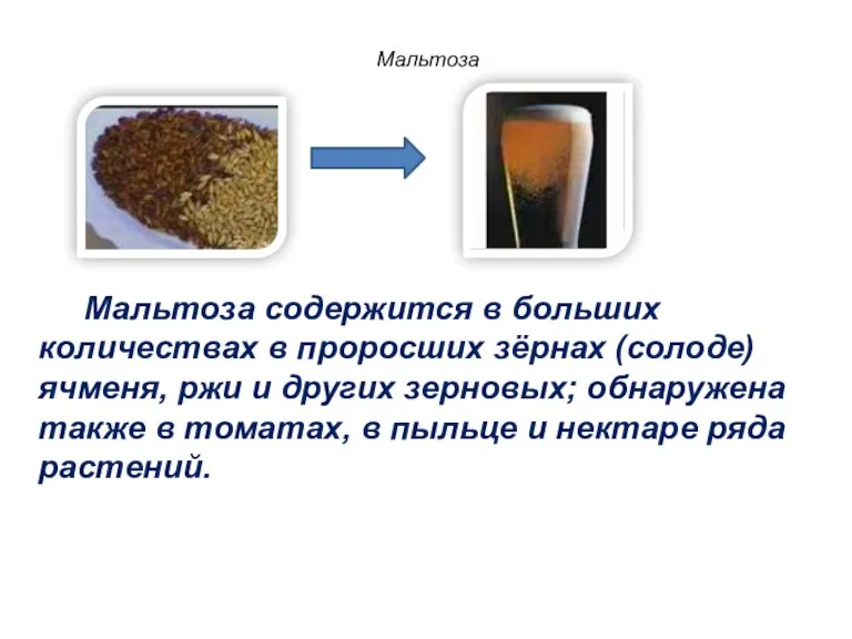 Мальтоза содержится в больших количествах в проросших зёрнах (солоде) ячменя,