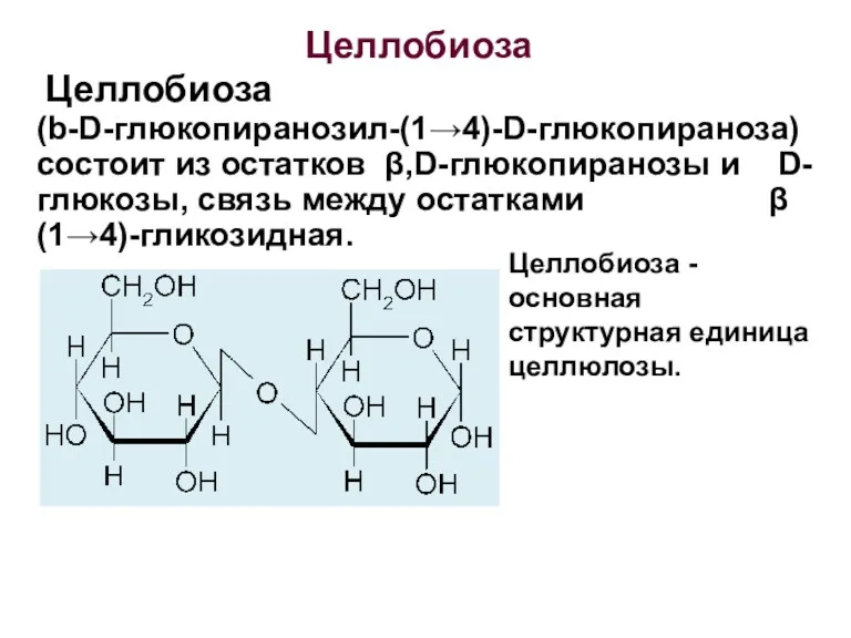 Целлобиоза (b-D-глюкопиранозил-(1→4)-D-глюкопираноза) состоит из остатков β,D-глюкопиранозы и D-глюкозы, связь между