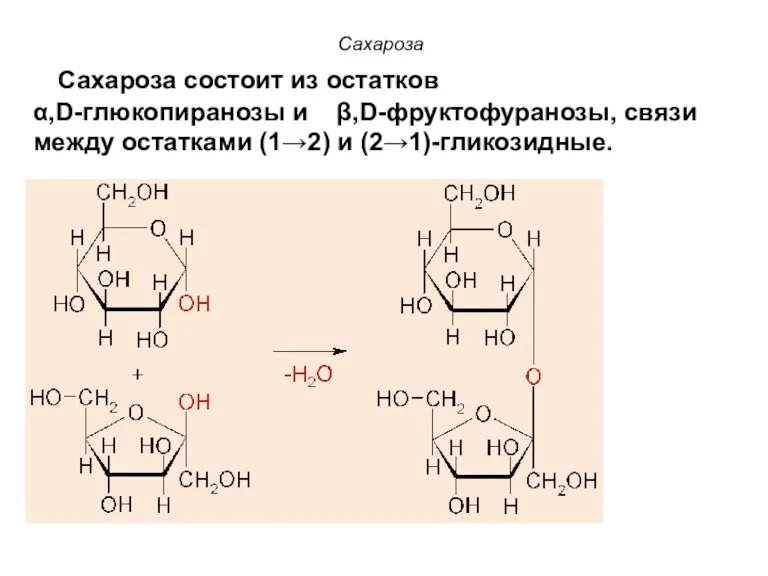 Сахароза Сахароза состоит из остатков α,D-глюкопиранозы и β,D-фруктофуранозы, связи между остатками (1→2) и (2→1)-гликозидные.