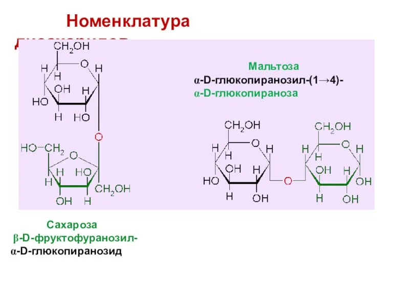 Номенклатура дисахаридов Сахароза β-D-фруктофуранозил- α-D-глюкопиранозид Мальтоза α-D-глюкопиранозил-(1→4)- α-D-глюкопираноза