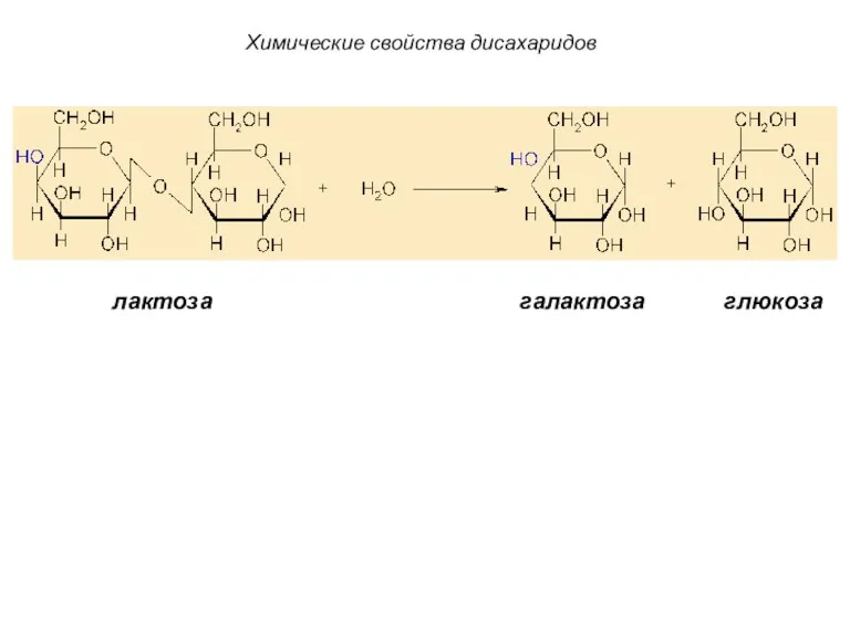лактоза галактоза глюкоза Химические свойства дисахаридов