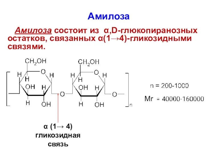 α (1→ 4) гликозидная связь Амилоза Амилоза состоит из α,D-глюкопиранозных остатков, связанных α(1→4)-гликозидными связями. Mr