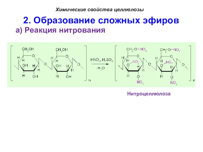 2. Образование сложных эфиров а) Реакция нитрования Химические свойства целлюлозы Нитроцеллюлоза