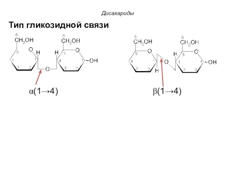 Тип гликозидной связи α(1→4) β(1→4) Дисахариды