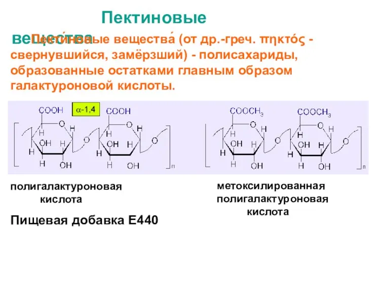 Пектиновые вещества метоксилированная полигалактуроновая кислота полигалактуроновая кислота Пекти́новые вещества́ (от