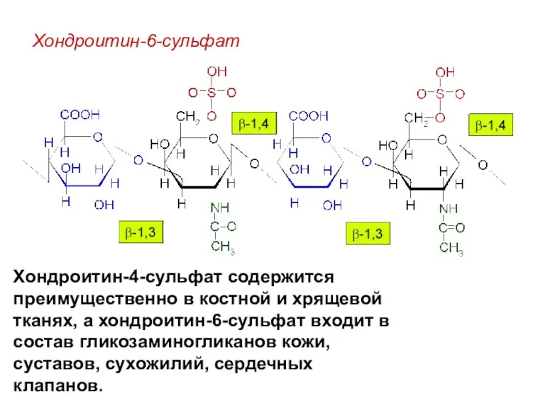 Хондроитин-6-сульфат Хондроитин-4-сульфат содержится преимущественно в костной и хрящевой тканях, а