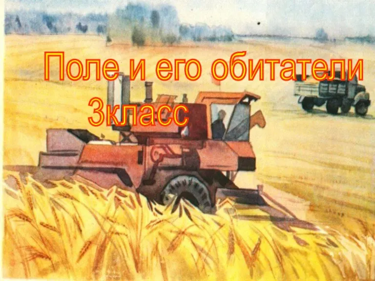 Поле и его обитатели. (3 класс)