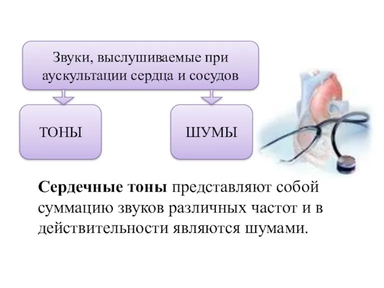 Сердечные тоны представляют собой суммацию звуков различных частот и в