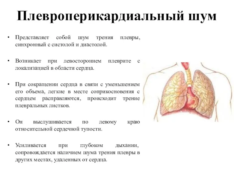 Плевроперикардиальный шум Представляет собой шум трения плевры, синхронный с систолой