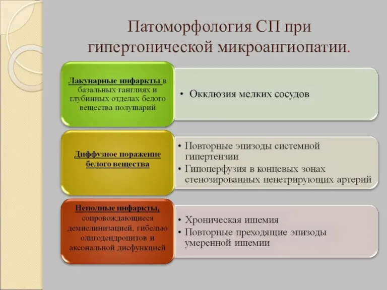 Патоморфология СП при гипертонической микроангиопатии.