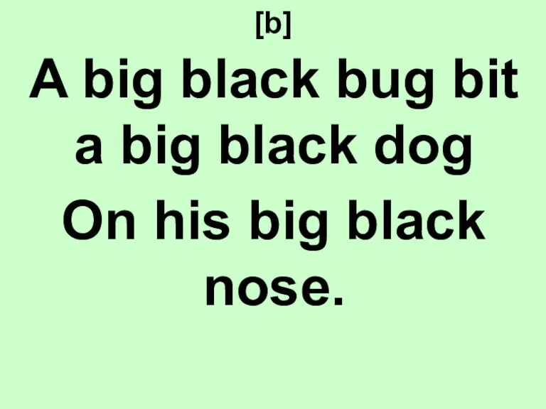 [b] A big black bug bit a big black dog On his big black nose.