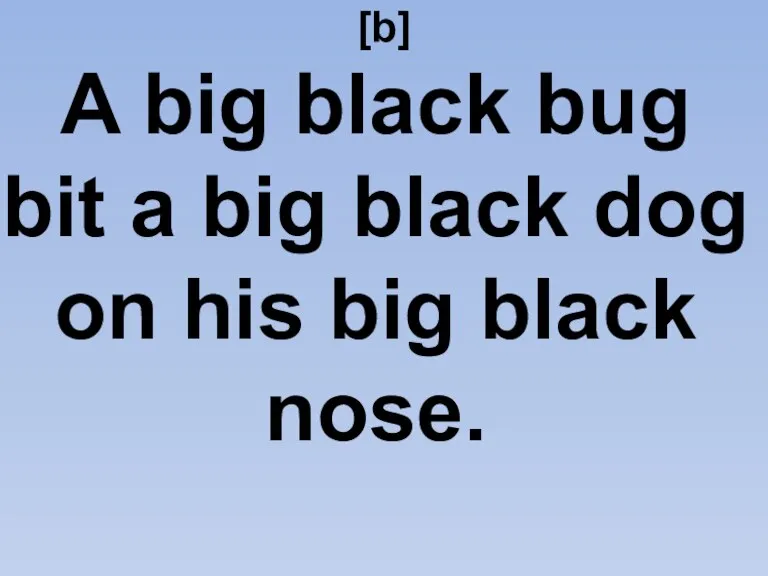 [b] A big black bug bit a big black dog on his big black nose.