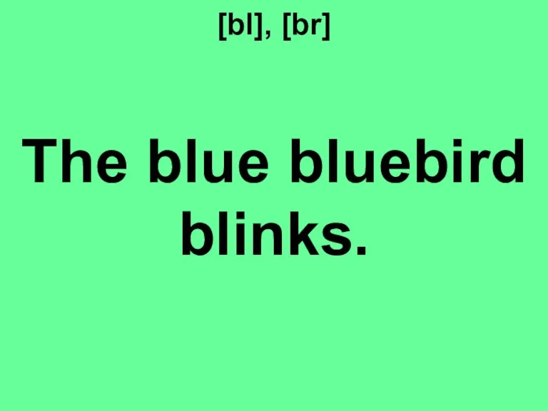 [bl], [br] The blue bluebird blinks.