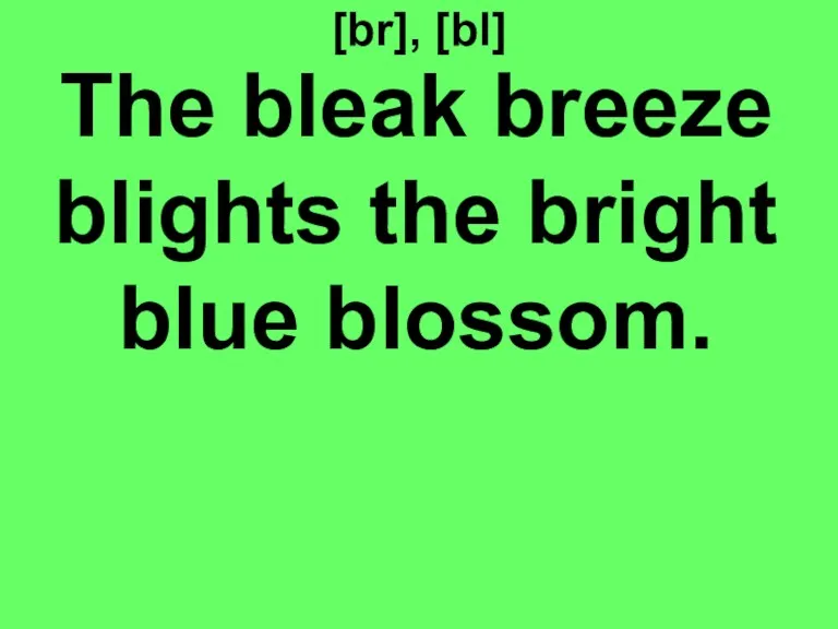 [br], [bl] The bleak breeze blights the bright blue blossom.