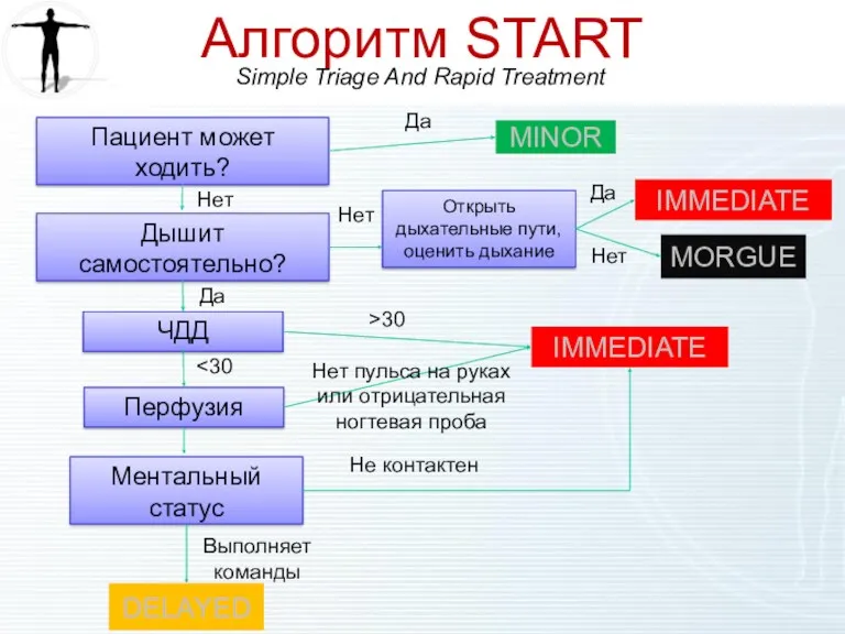 Алгоритм START Simple Triage And Rapid Treatment Пациент может ходить?