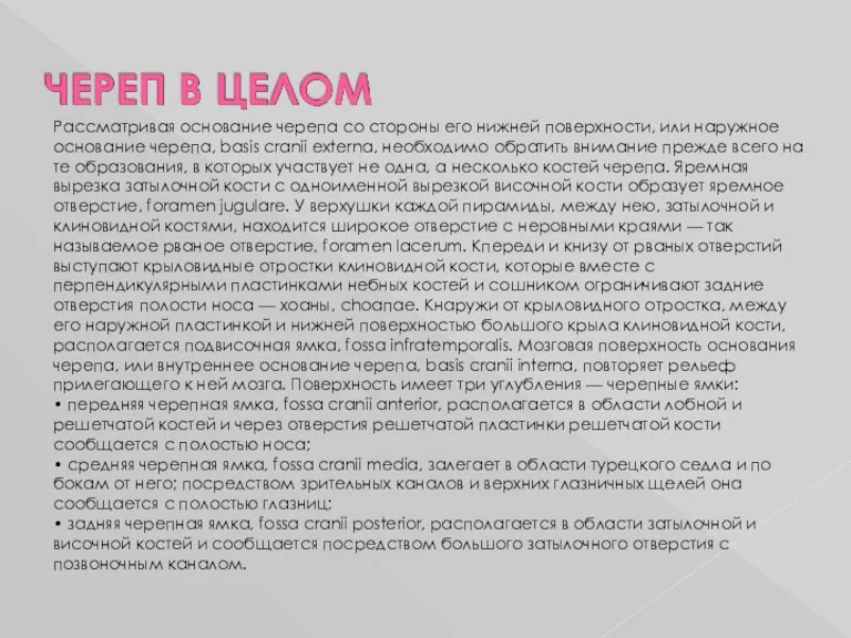 Рассматривая основание черепа со стороны его нижней поверхности, или наружное